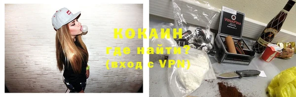 индика Новокубанск