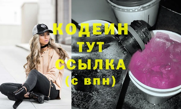 индика Новокубанск
