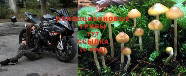 мет Нефтегорск