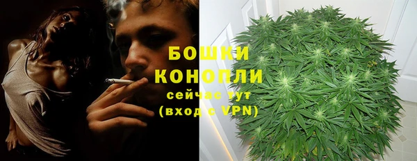 марки lsd Нея